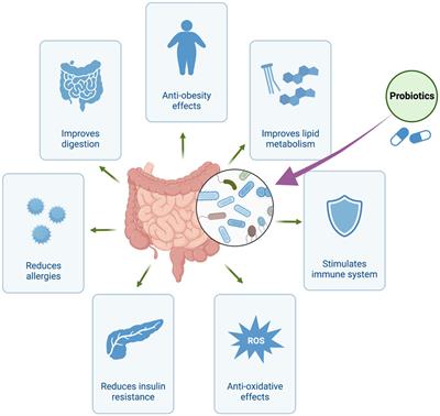 Postbiotic production: harnessing the power of microbial metabolites for health applications
